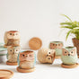 Owl Planters Set of 6 - Indoor plant pots and flower pots | Home decoration items