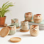 Owl Planters Set of 6 - Indoor plant pots and flower pots | Home decoration items