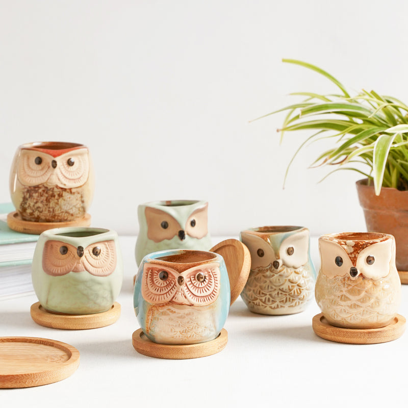 Owl Planters Set of 6 - Indoor plant pots and flower pots | Home decoration items