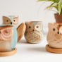 Owl Planters Set of 6 - Indoor plant pots and flower pots | Home decoration items