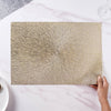 PVC Table Mat Set