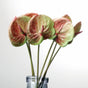 Anthurium - Artificial flower | Home decor item | Room decoration item