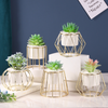 Plant Stand Indoor - Indoor plant pots and flower pots | Home decoration items