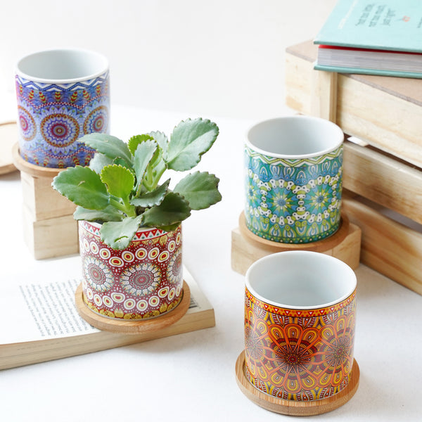 House Plant Pots - Indoor planters and flower pots | Home decor items
