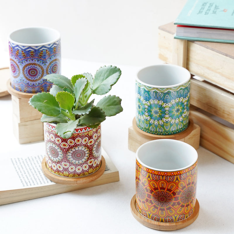 Artful Garden Ceramic Planter With Coaster Set Of 4