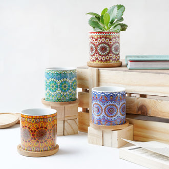 House Plant Pots - Indoor planters and flower pots | Home decor items