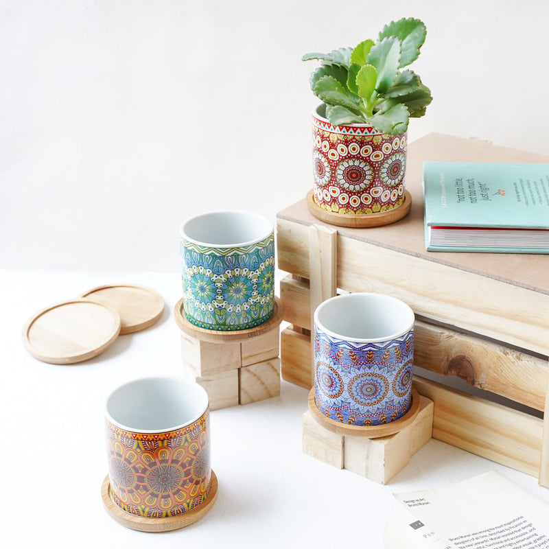 Artful Garden Ceramic Planter With Coaster Set Of 4