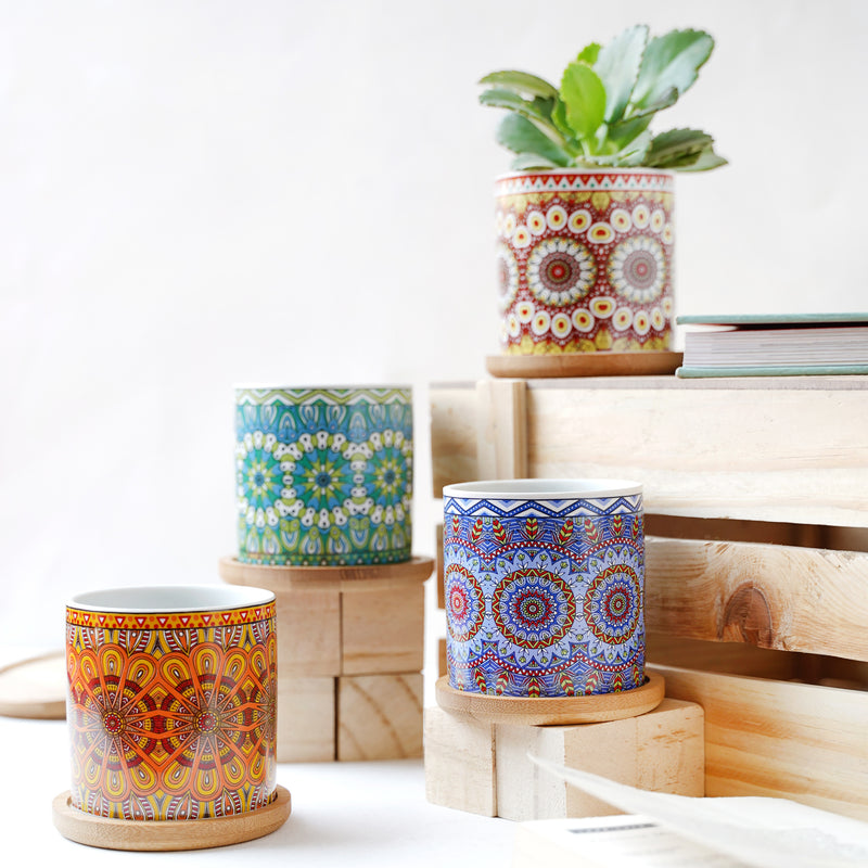 Artful Garden Ceramic Planter With Coaster Set Of 4