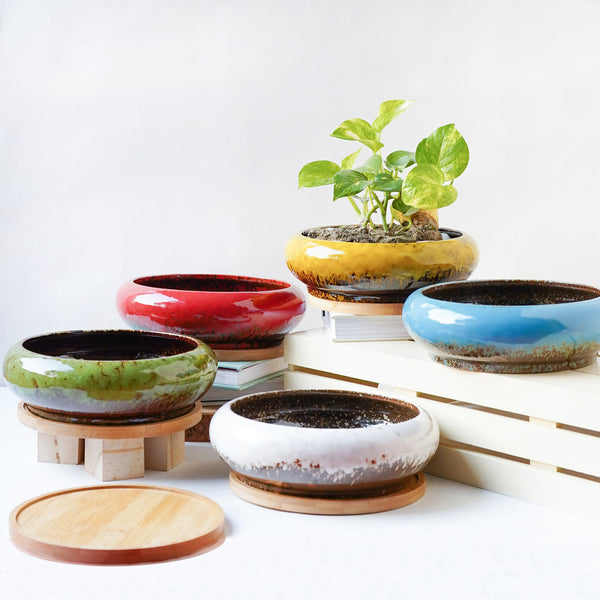 Planter Pot - Indoor plant pots and flower pots | Home decoration items