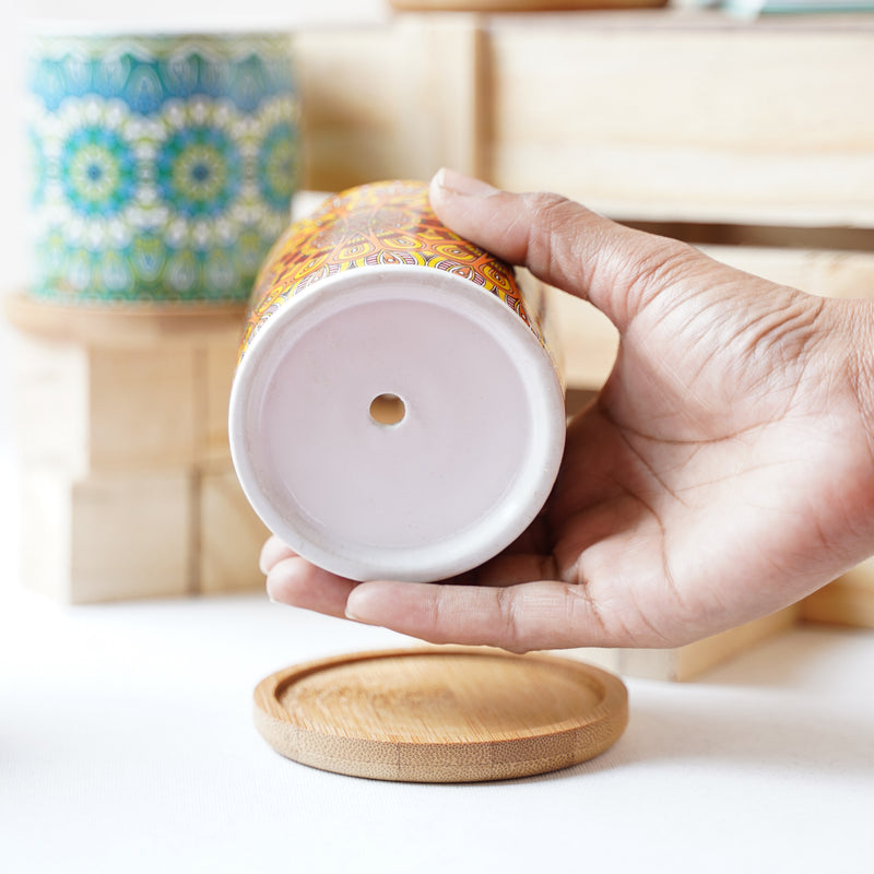 Artful Garden Ceramic Planter With Coaster Set Of 4