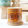 Artful Garden Ceramic Planter With Coaster Set Of 4