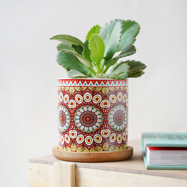 House Plant Pots - Indoor planters and flower pots | Home decor items