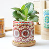 Artful Garden Ceramic Planter With Coaster Set Of 4
