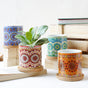 House Plant Pots - Indoor planters and flower pots | Home decor items