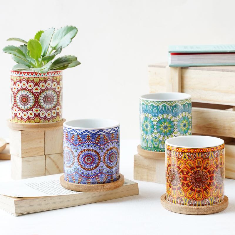 Artful Garden Ceramic Planter With Coaster Set Of 4