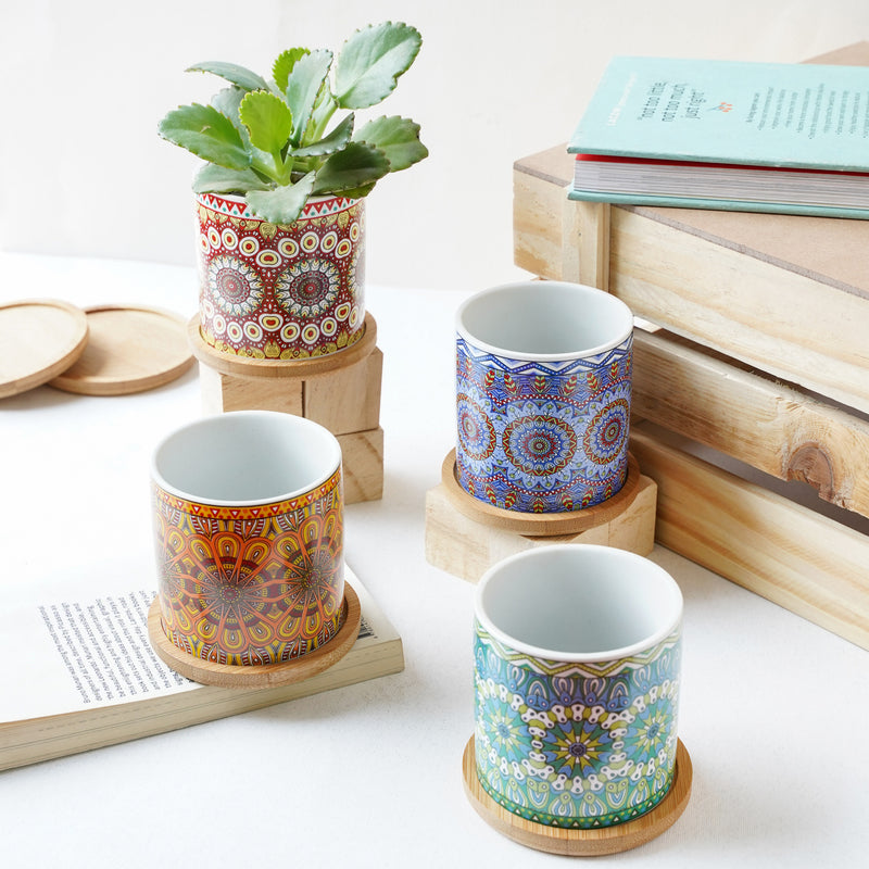 Artful Garden Ceramic Planter With Coaster Set Of 4