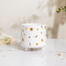 Stars and Moons White Ceramic Planter Small - Indoor planters and flower pots | Home decor items