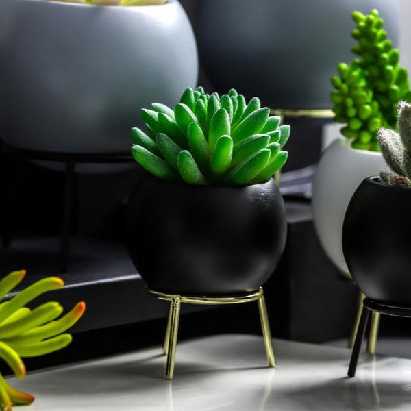 Round Planter With Stand Gold Black - Indoor planters and flower pots | Home decor items