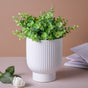 Handmade Ceramic Plant Pot - Flower vase for home decor, office and gifting | Home decoration items