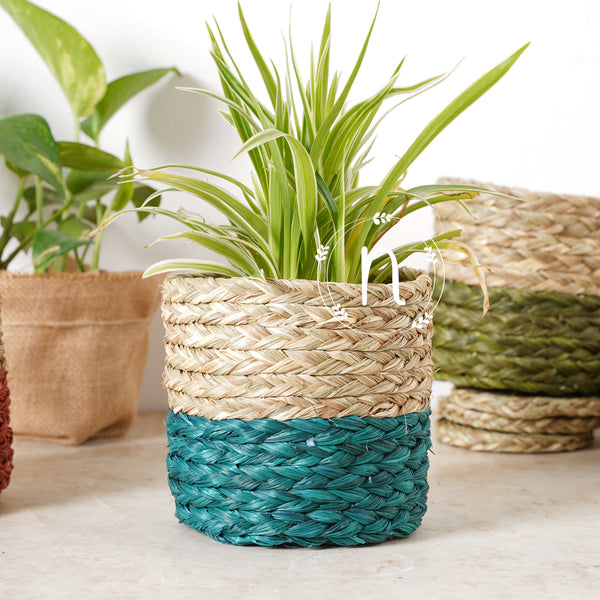 Small Planter Basket - Basket | Flower basket