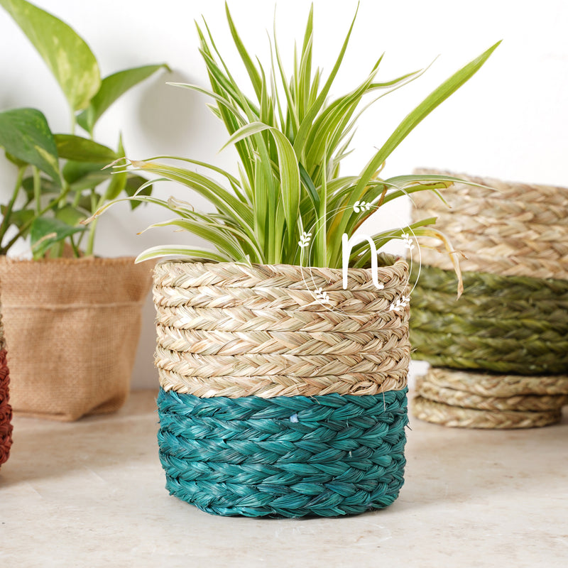 Small Planter Basket - Basket | Flower basket
