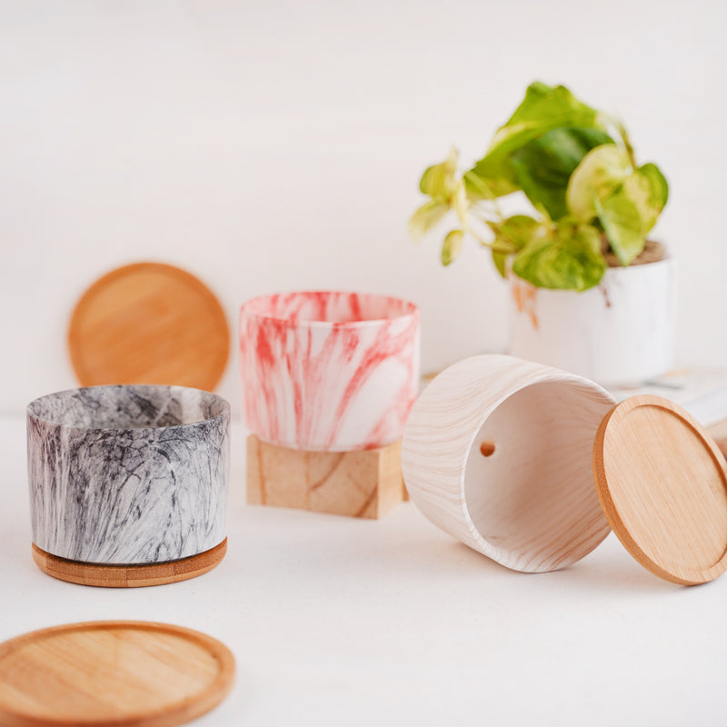 Succulent Plant Pot - Indoor planters and flower pots | Home decor items