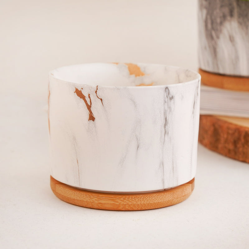 Succulent Plant Pot - Indoor planters and flower pots | Home decor items