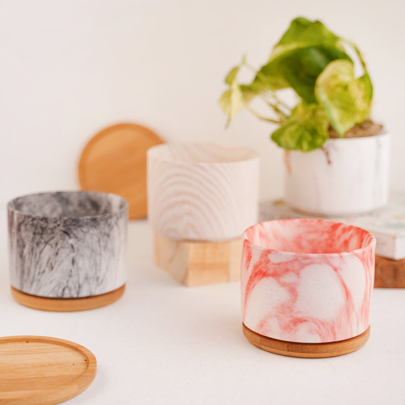 Succulent Plant Pot - Indoor planters and flower pots | Home decor items