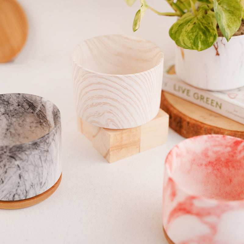 Succulent Plant Pot - Indoor planters and flower pots | Home decor items