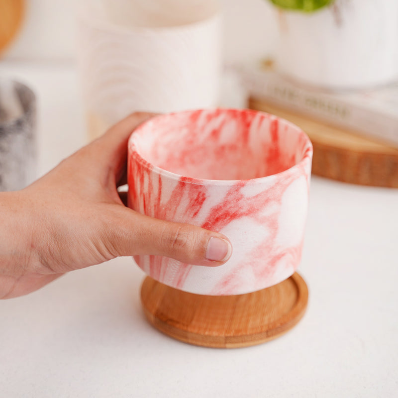 Succulent Plant Pot - Indoor planters and flower pots | Home decor items