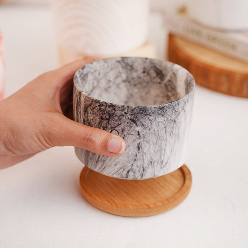 Succulent Plant Pot - Indoor planters and flower pots | Home decor items