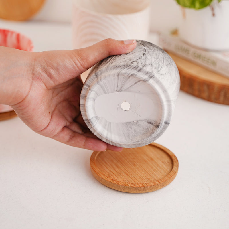 Succulent Plant Pot - Indoor planters and flower pots | Home decor items