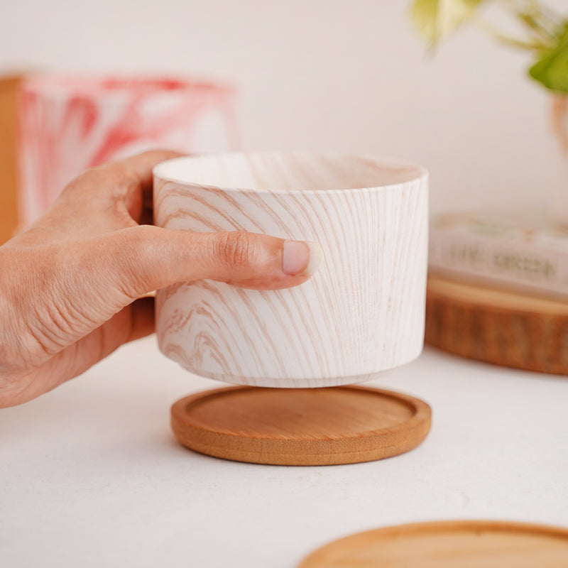 Succulent Plant Pot - Indoor planters and flower pots | Home decor items