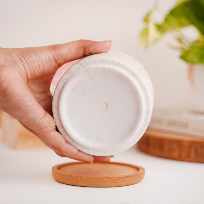 Succulent Plant Pot - Indoor planters and flower pots | Home decor items