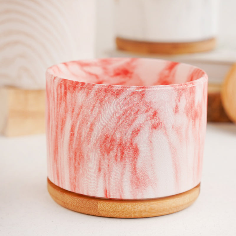 Succulent Plant Pot - Indoor planters and flower pots | Home decor items