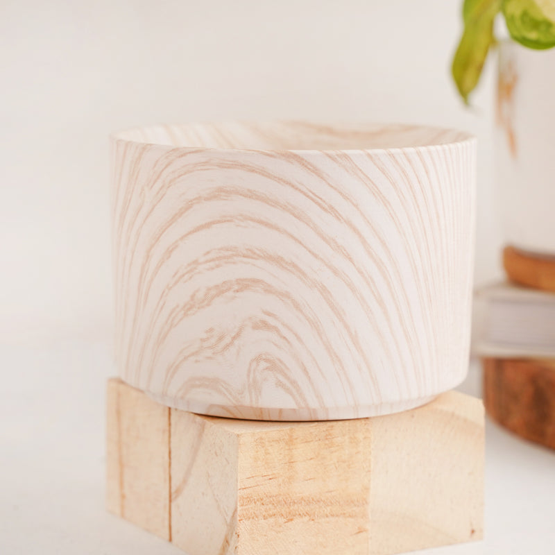 Succulent Plant Pot - Indoor planters and flower pots | Home decor items