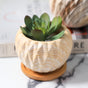 Succulent Planter - Indoor planters and flower pots | Home decor items