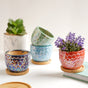 Succulent Pots - Indoor planters and flower pots | Home decor items