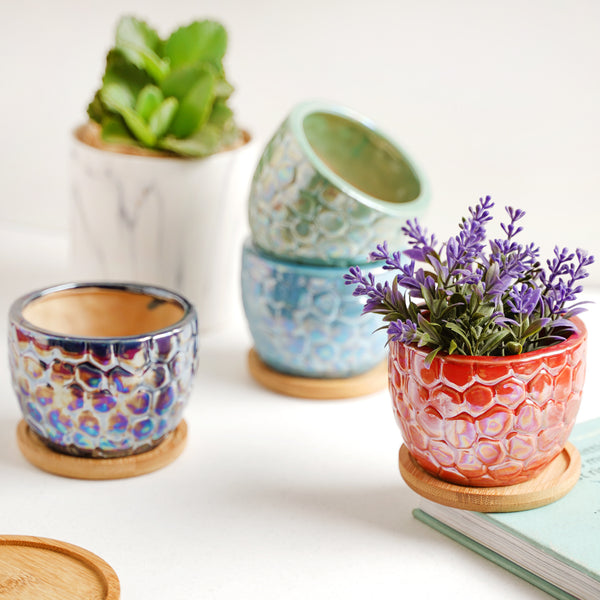 Nature's Canvas Planter Pot With Coaster Set Of 4