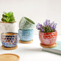 Succulent Pots - Indoor planters and flower pots | Home decor items