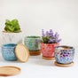 Succulent Pots - Indoor planters and flower pots | Home decor items