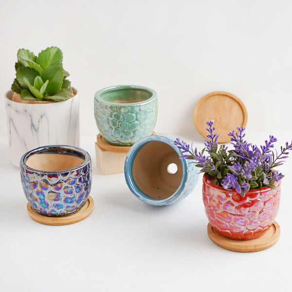 Nature's Canvas Planter Pot With Coaster Set Of 4