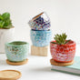 Succulent Pots - Indoor planters and flower pots | Home decor items