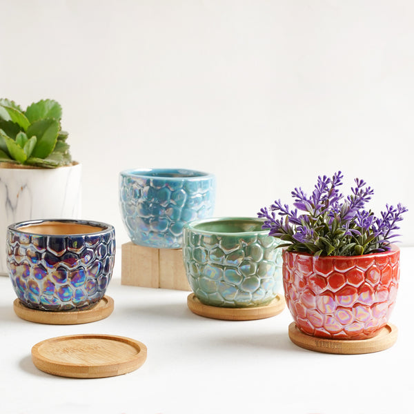 Succulent Pots - Indoor planters and flower pots | Home decor items