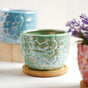 Succulent Pots - Indoor planters and flower pots | Home decor items