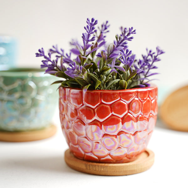 Succulent Pots - Indoor planters and flower pots | Home decor items