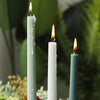 Taper Candles - Candle | Home decor item