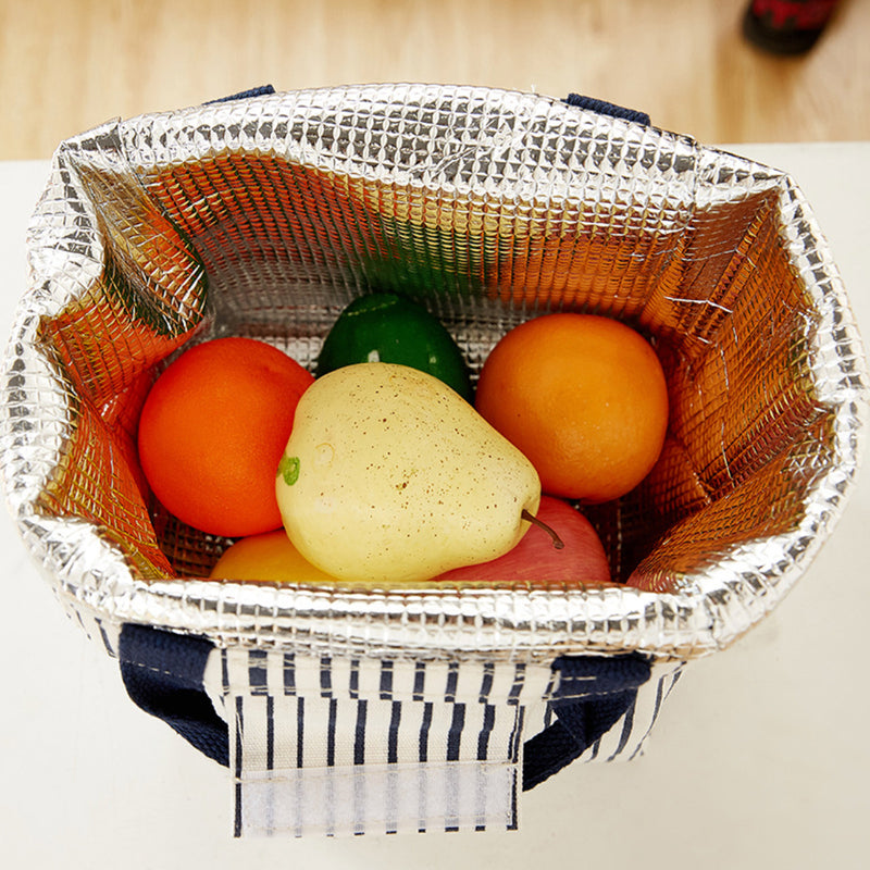 Tiffin Carry Bag