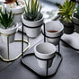 Planter Stand of 3 White Black - Indoor plant pots and flower pots | Home decoration items