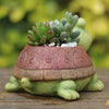 Tortoise Planter - Indoor planters and flower pots | Home decor items